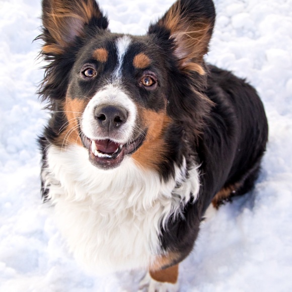 Meet your Posher, April - Picture 4 of 5